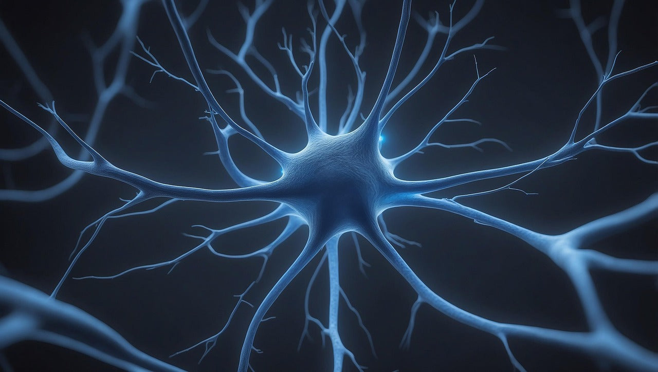 Het keto-dieet en hersengezondheid: waar staat de  wetenschap?