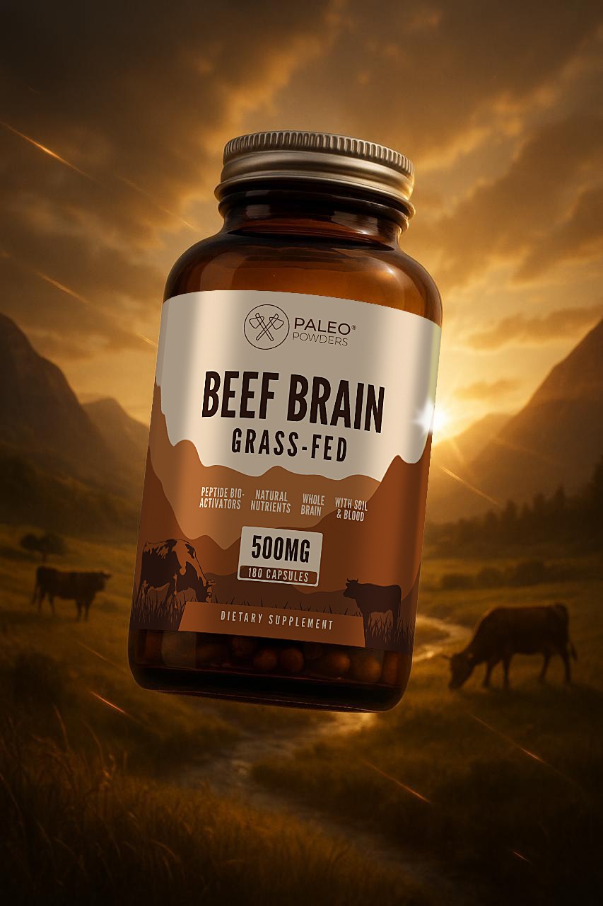 Brain Meat Beef Brain - Paleo Powders