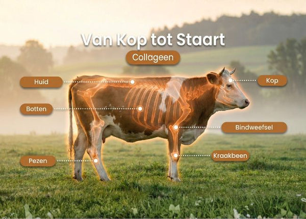 Neus-tot-staart essential